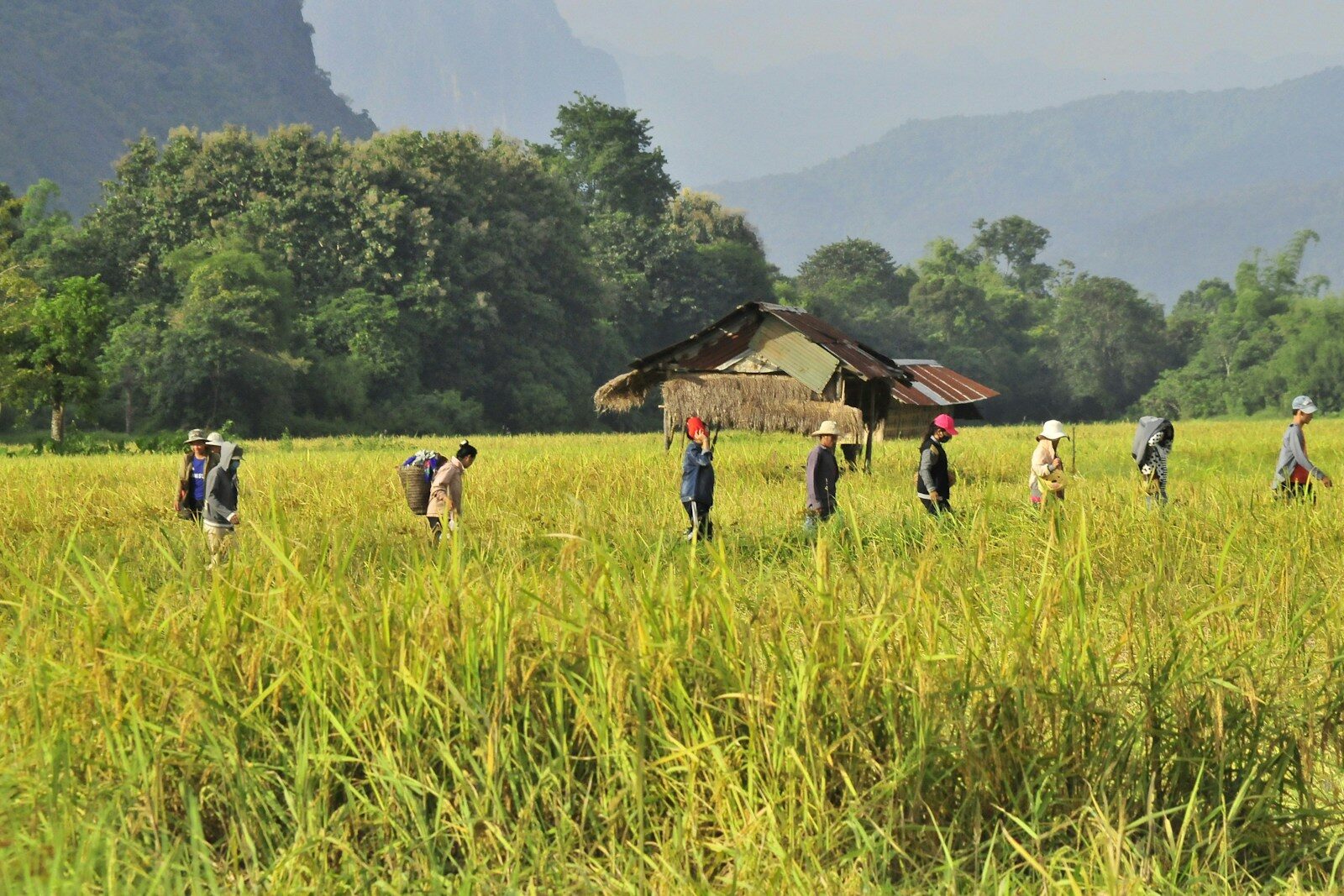 Laos people walking on green grass field during daytime